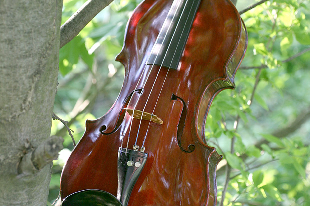Maroon Geige 2002&nbsp;von Dieter Ennemoser
